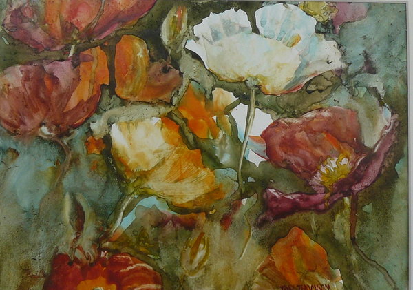 'Tall Poppy' by Jan Thomson