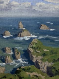 'Nugget Point' by Sam Earp