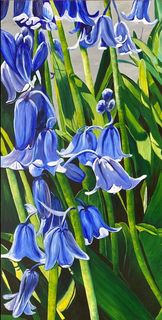 'Bluebells' by Tracy Wood
