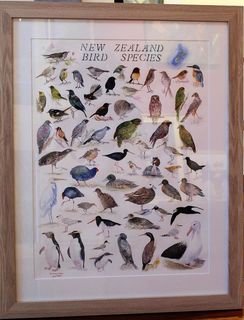 'NZ Birds' by Eliza Xi
