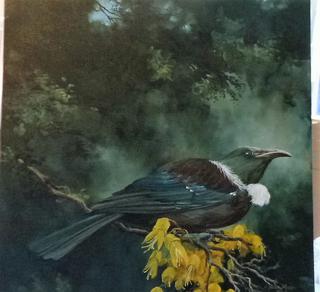 'Mr Tui' by Graham Moeller (SOLD)