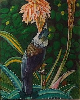 'Tui in the Bush' by Joya de Geus
