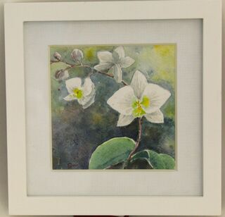 'Orchid's Bloom' by Samantha Qiao