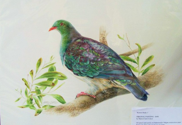'Kereru' by Marie-Claire Colyer (SOLD)