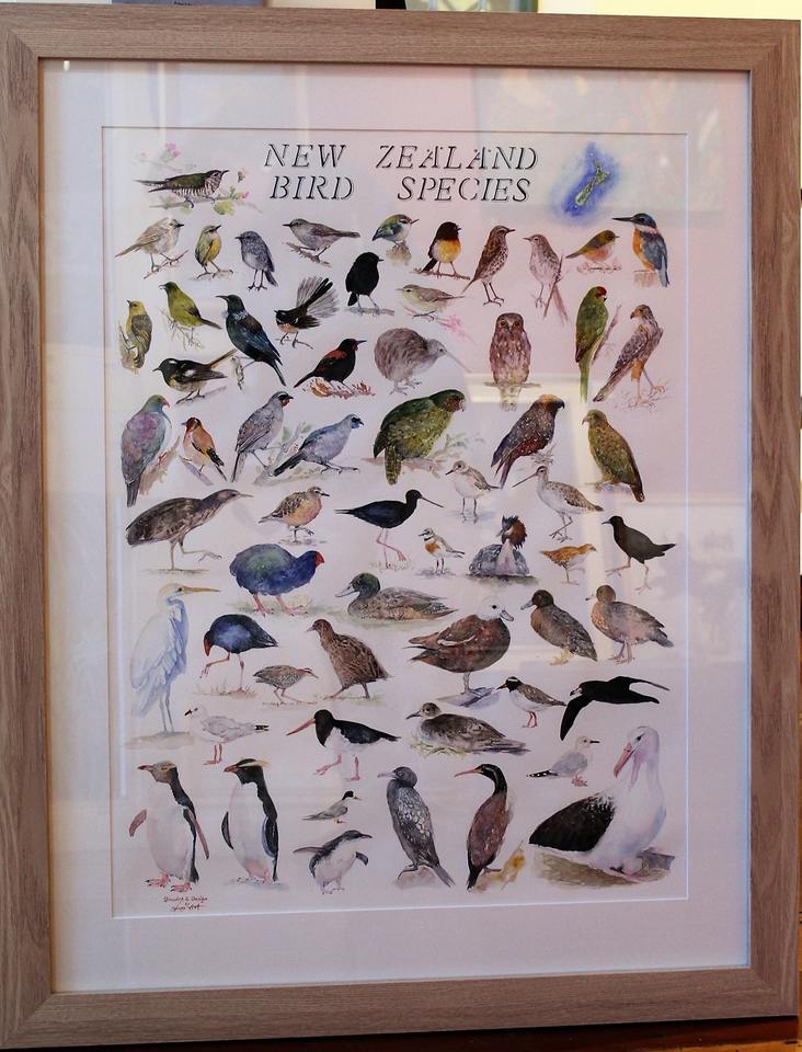 'NZ Birds' by Eliza Xu