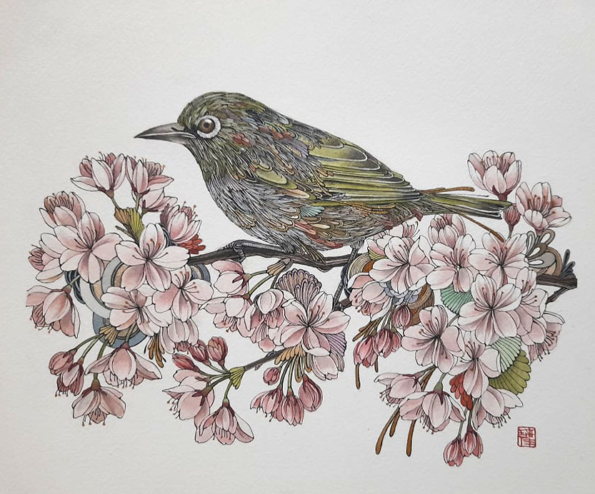 'Silvereye on Cherry Blossom' by Rika Nagahata (SOLD)