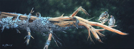 'End of the Branch' by Gary Roberts (SOLD)
