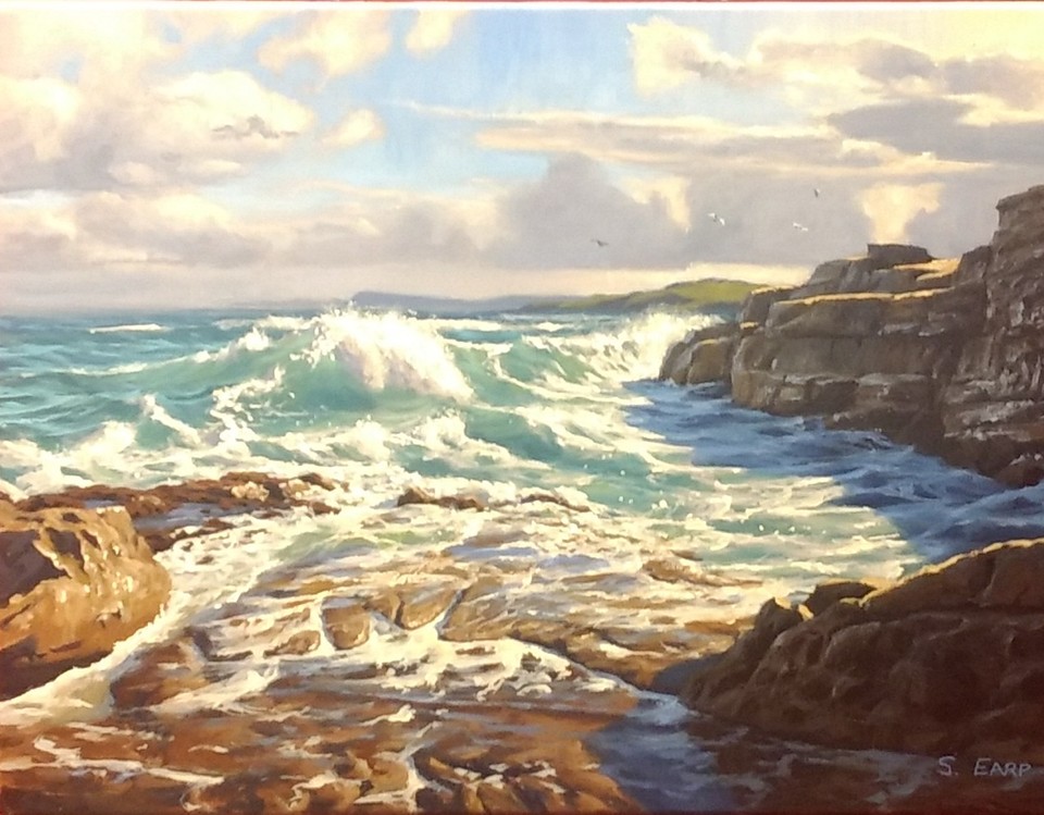 'Wild Coast' by Sam Earp (SOLD)