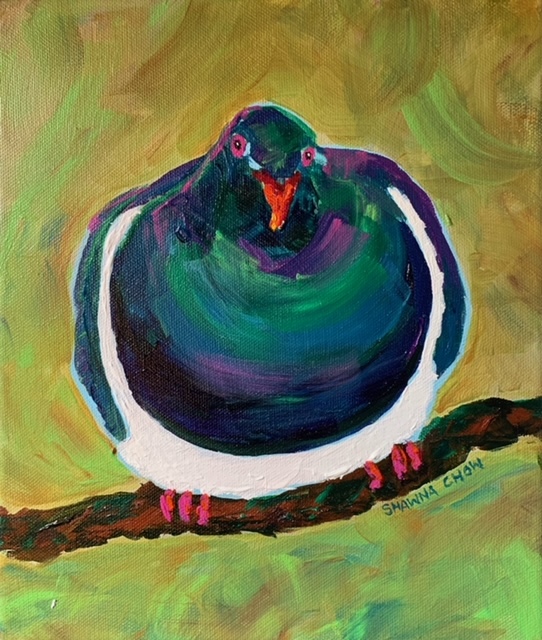 'Wood Pigeon' by Shawna Chow