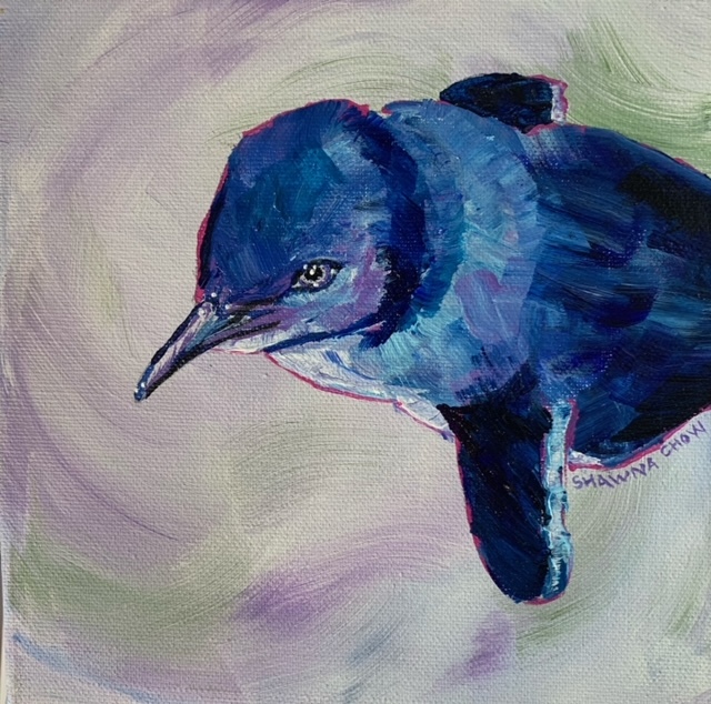'Little Blue Penguin' by Shawna Chow