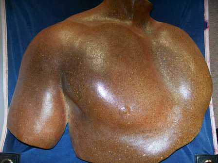 Large Sam by Paddy Bourke