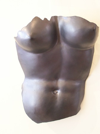 Venus by Paddy Bourke
