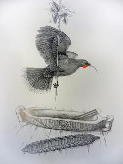 'Huia and Whakahuia 2' by Janet Marshall (SOLD)