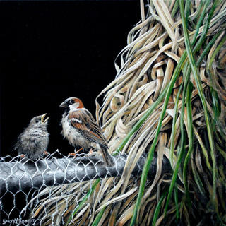 'Amongst the Toi Toi' by Gary Roberts (SOLD)