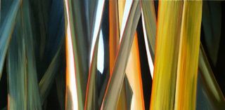 'Flax' by Vicki Axtens