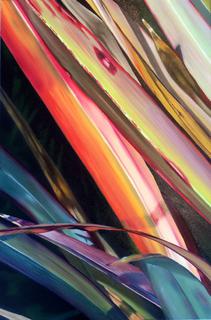 'Harakeke' by Vicki Axtens (SOLD)