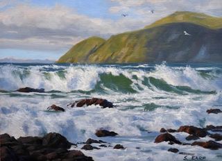 'Owhiro Bay' by Sam Earp