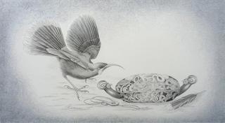 'Huia and Whakahuia 1' by Janet Marshall