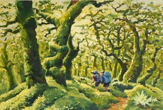 'Tararuas High Altitude Forest' by Phil Dickson (SOLD)