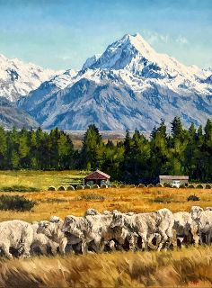 'Glenntanner Station Mt Cook