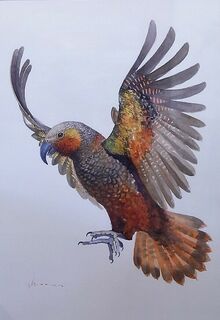 'Kaka in Flight 2' by Eliza Xu (SOLD)