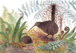 'Kiwi' by Eliza Xu (SOLD)