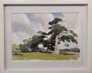 'Tree Study' by Bill MacCormick