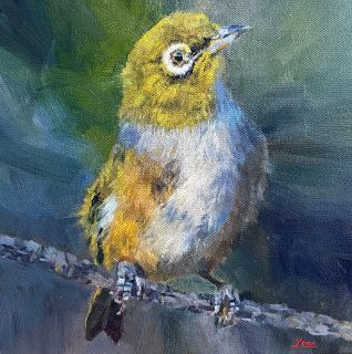 'Silvereye' by Iwen Yong (SOLD)