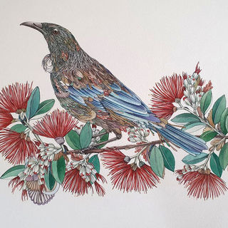 Tui on Pohutukawa by Rika Nagahata